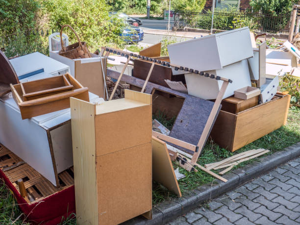 Best Electronics Removal Services  in St James, MN